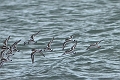 02 12 15_8841_edited-1